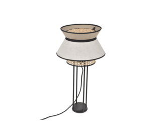 Lampe A Poser Singapour Nude